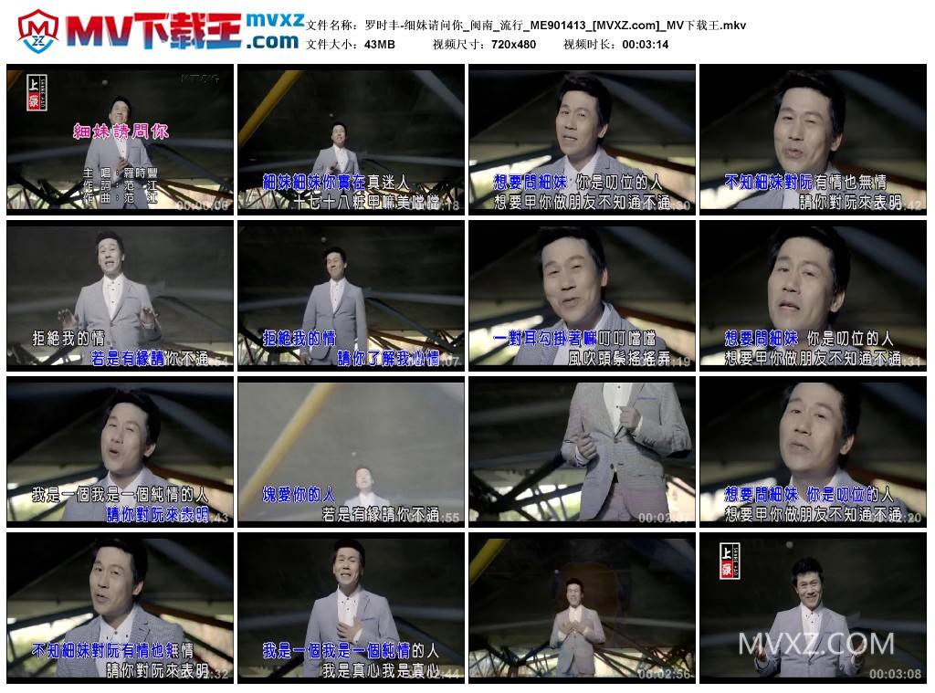 罗时丰-细妹请问你_闽南_流行_ME901413